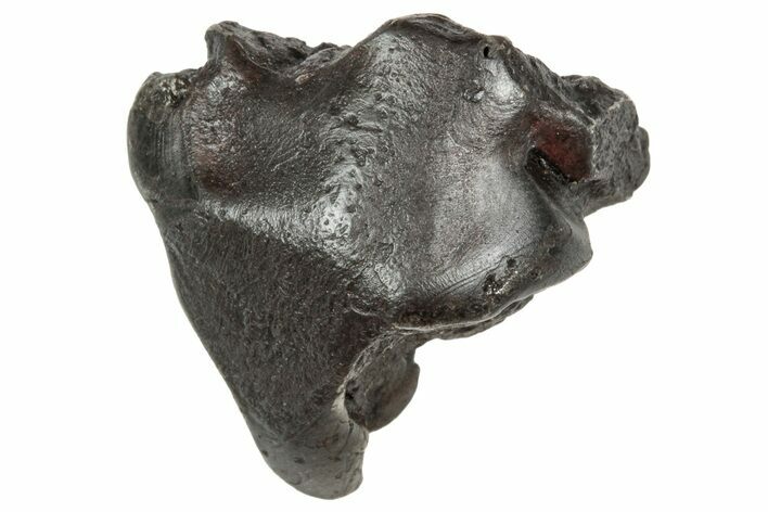 Fusion Crusted Sikhote-Alin Iron Meteorite ( g) - Russia #333121